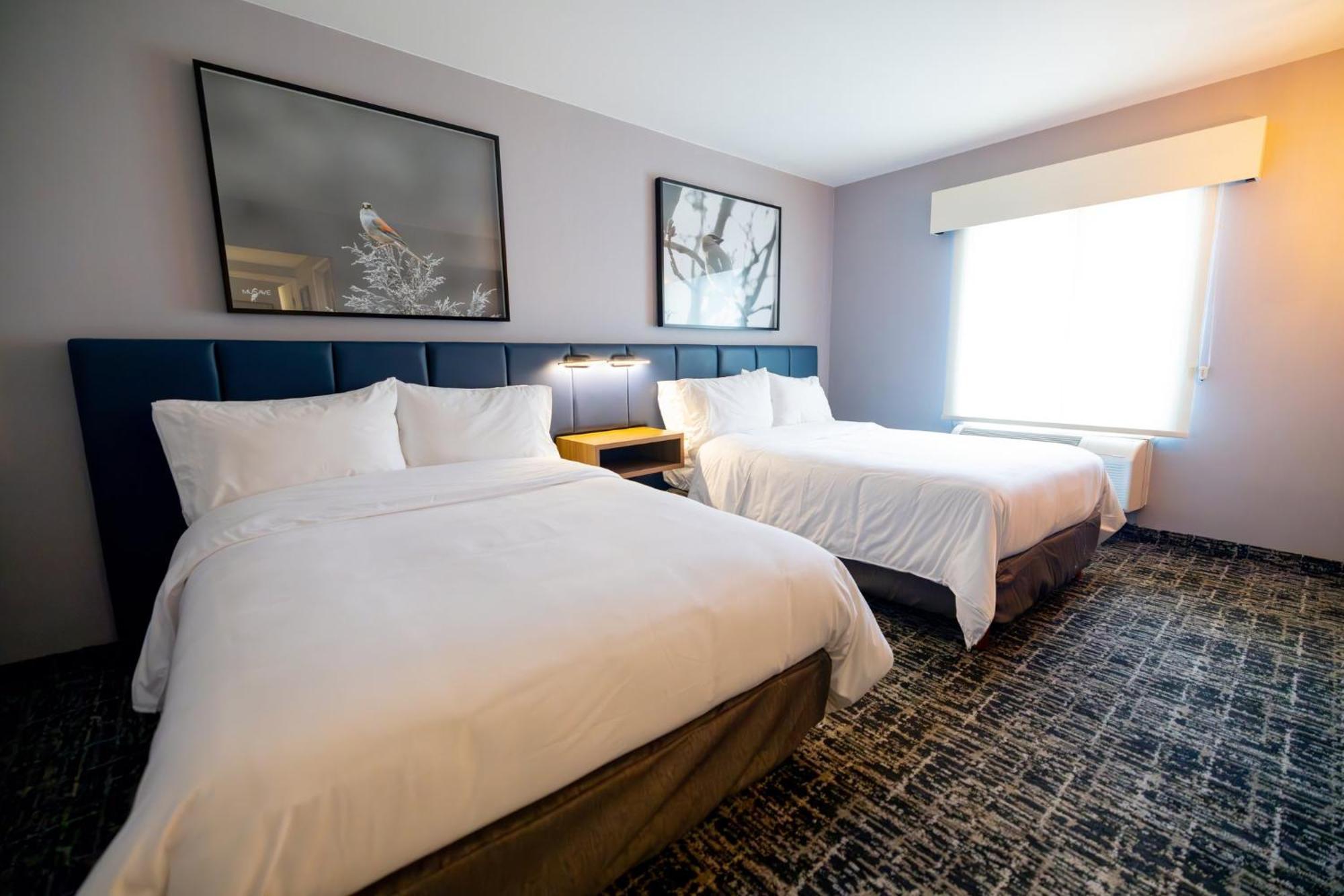 Voco Saltillo Suites By Ihg Εξωτερικό φωτογραφία