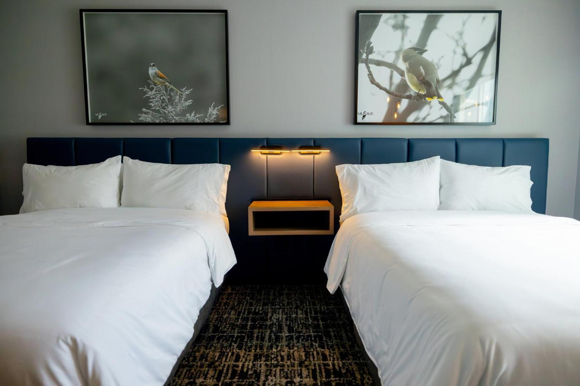 Voco Saltillo Suites By Ihg Εξωτερικό φωτογραφία